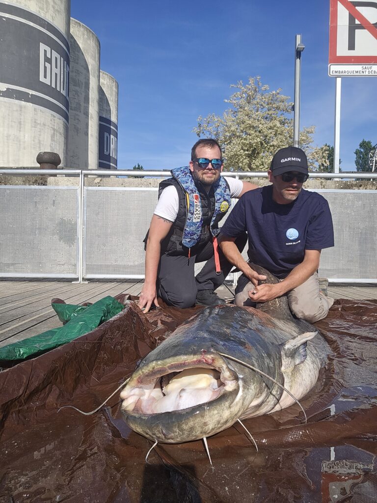 séance de street fishing à Lyon devant la sucrière avec Nicolas van Hemelrijck guide de pêche