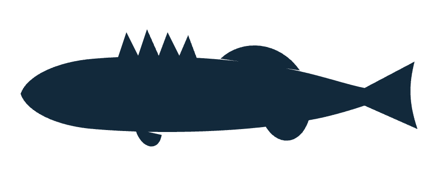 Silhouette de sandre